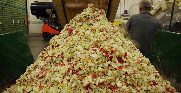 蘋(píng)果渣烘干機(jī)處理前 蘋(píng)果渣烘干機(jī)處理前